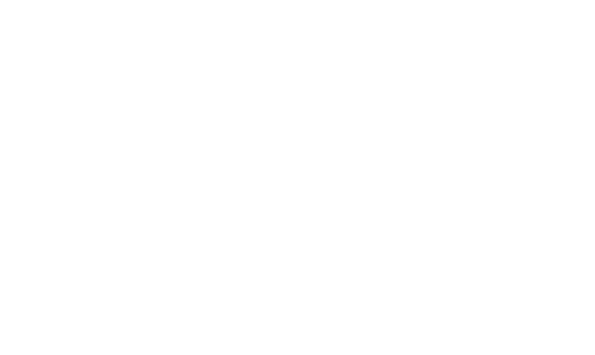 Referenz 4